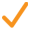 checked-symbol-orange